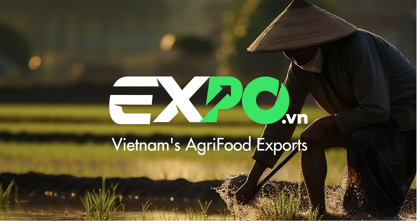 Expo Vietnam
