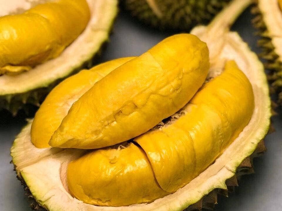 Vietnam's Durians