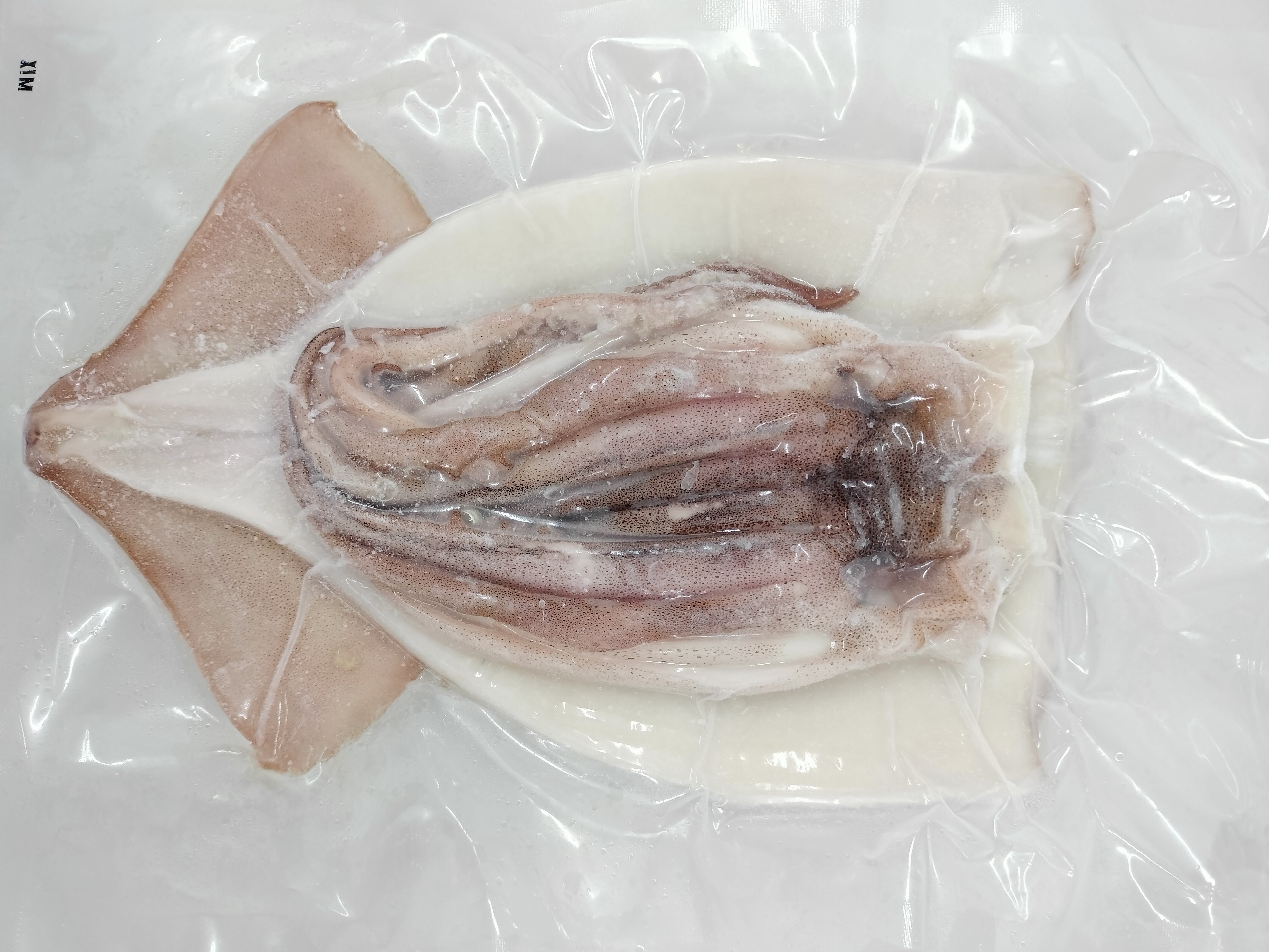 Dried Squid