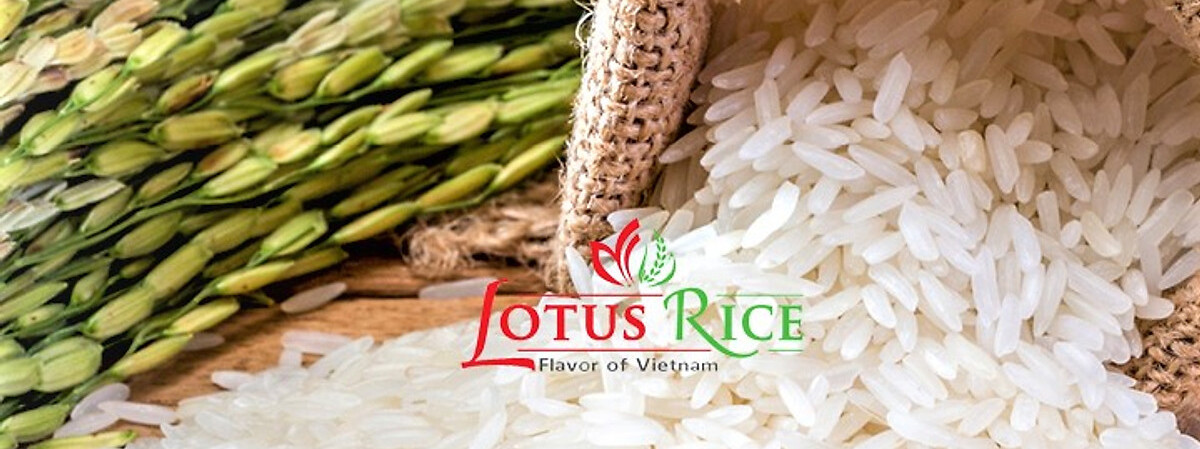 LOTUS Rice
