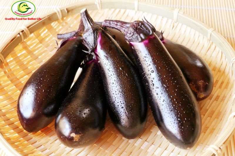 Eggplant