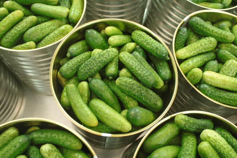 Pickled whole cucumber