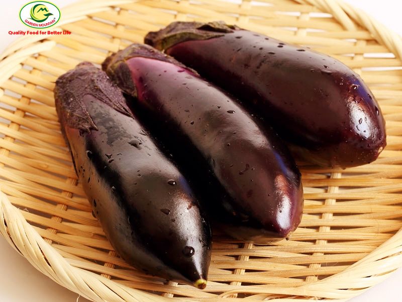 Eggplant