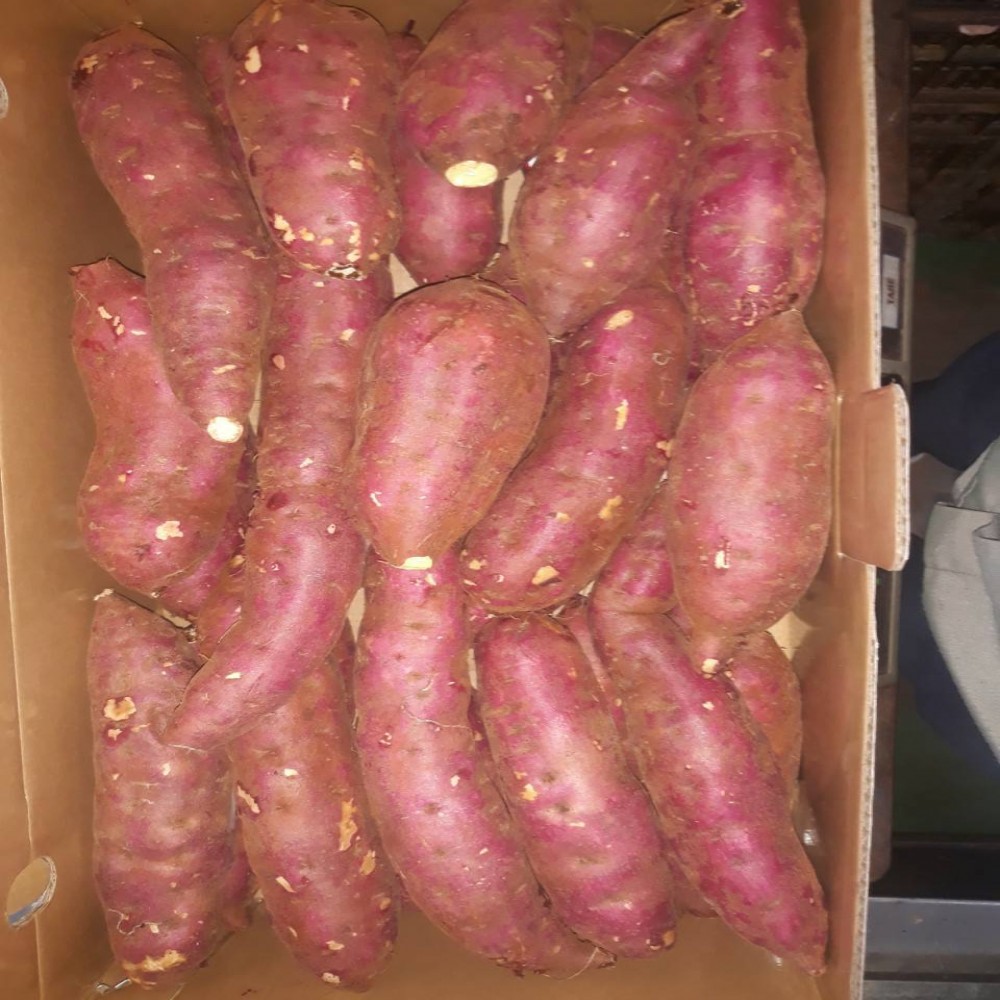 Fresh Sweet Potatoes