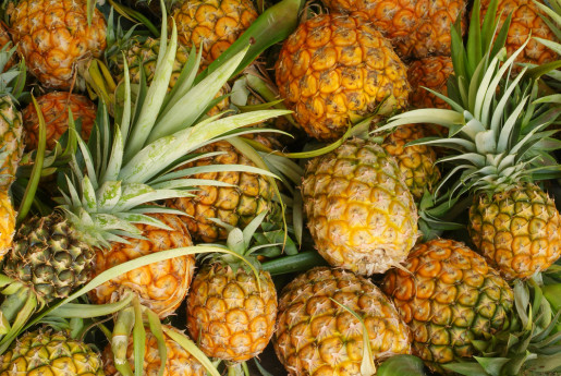 Canned pineapple slices