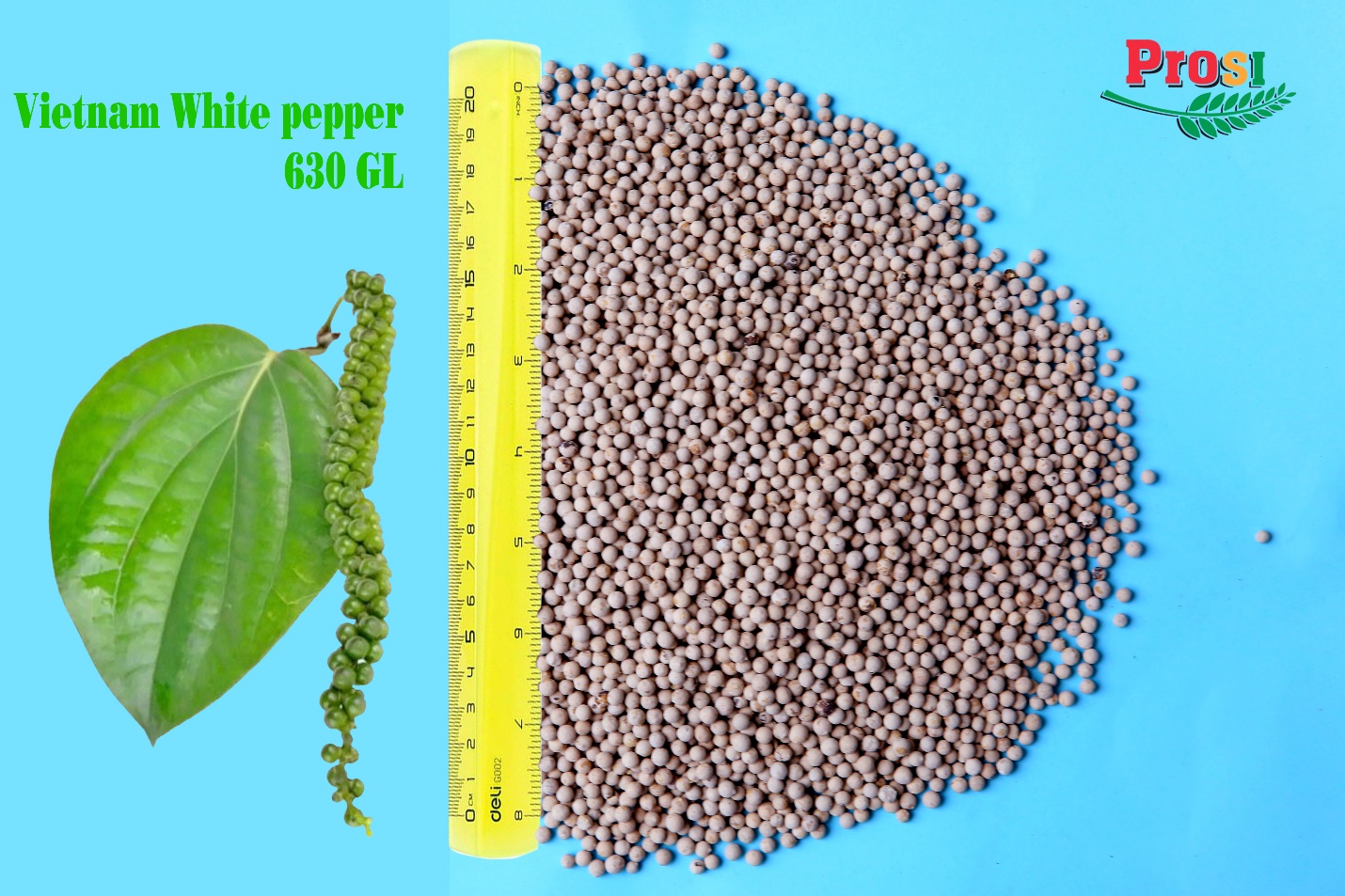 Vietnam White Pepper Double Wash