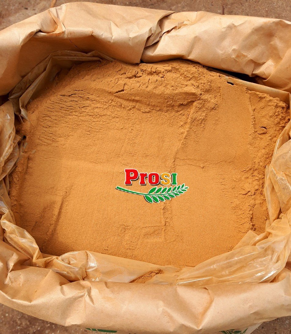 Cassia Powder