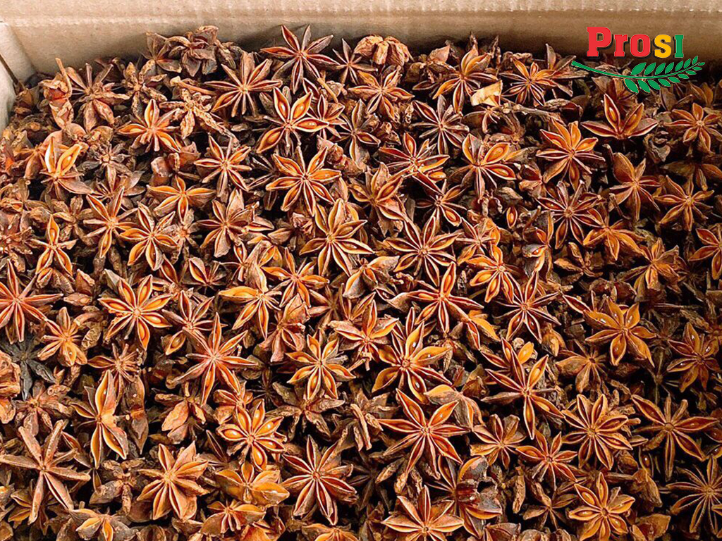 Star Anise