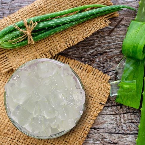 Aloe Vera Jelly