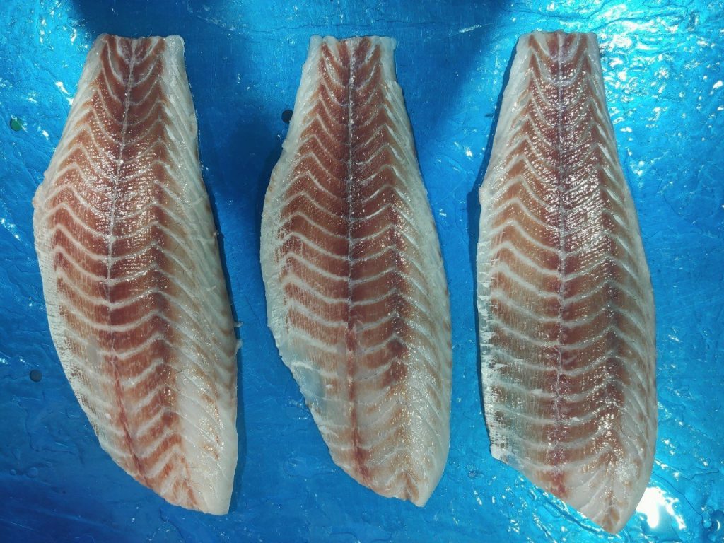 Barramundi Skinless Fillet