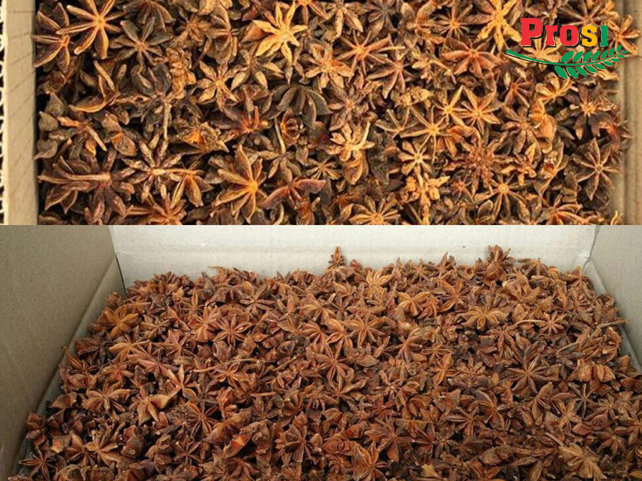 Star Anise