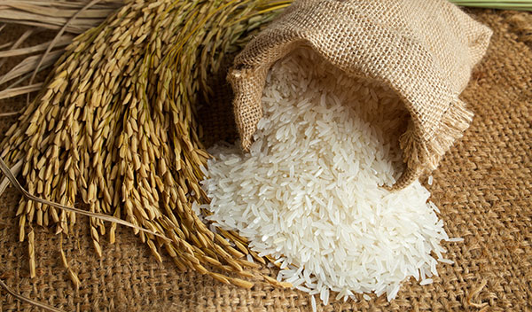 Long Grain White Rice