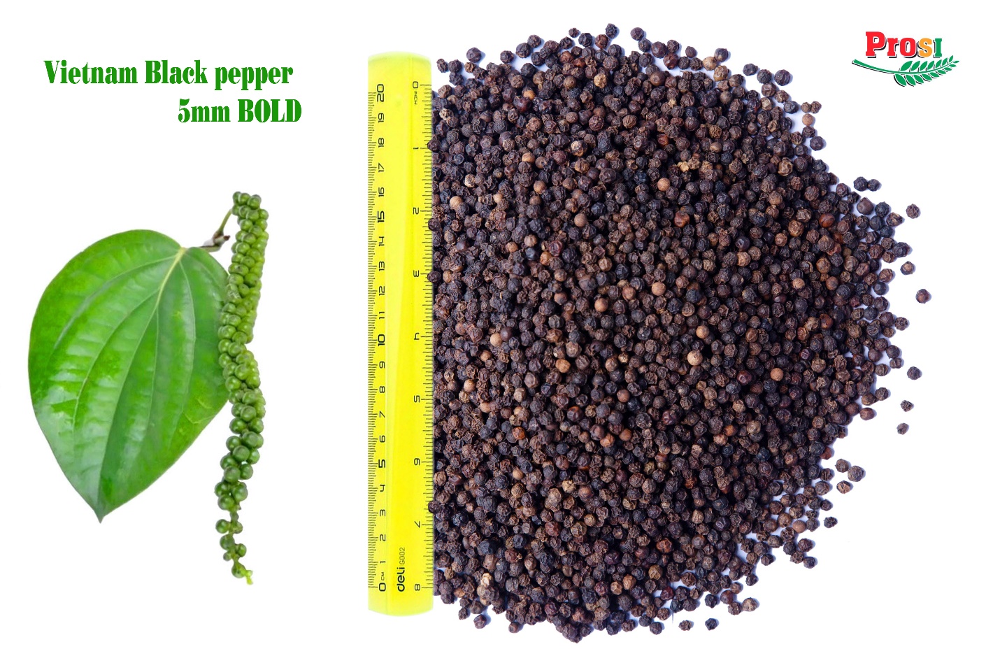 Vietnam Black Pepper