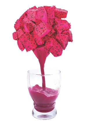 Dragon Fruit Puree