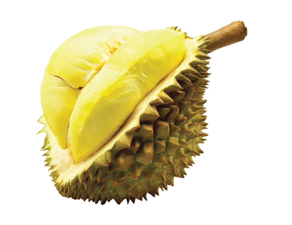 Monthong Durian