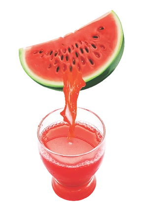 Water Melon Puree