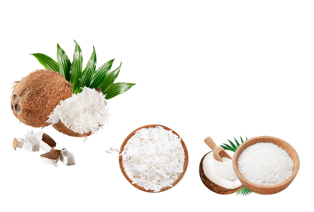 Desiccated Coconut