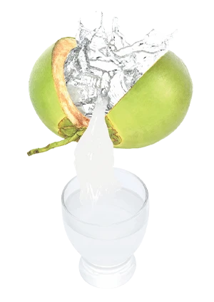 Coconut Water