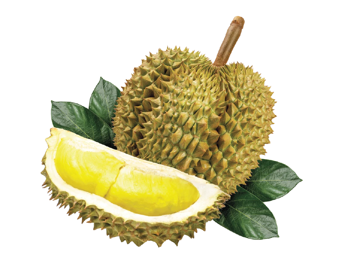 Ri6 Durian