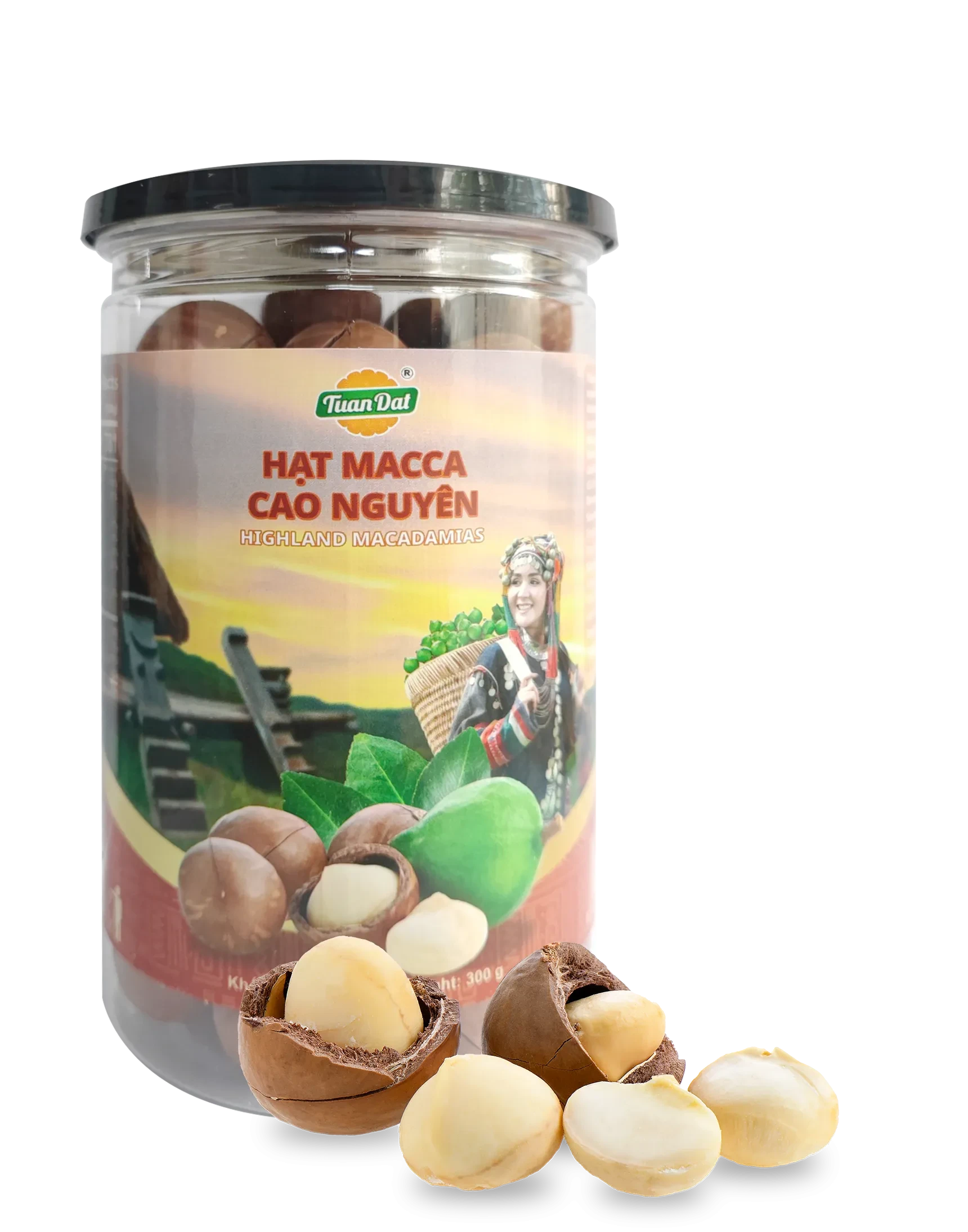 Macadamia Nuts