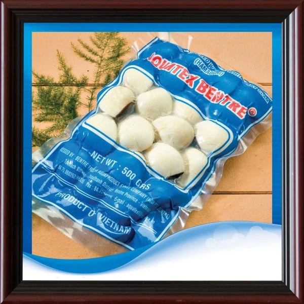 Frozen Cooked White Clam Whole Shell