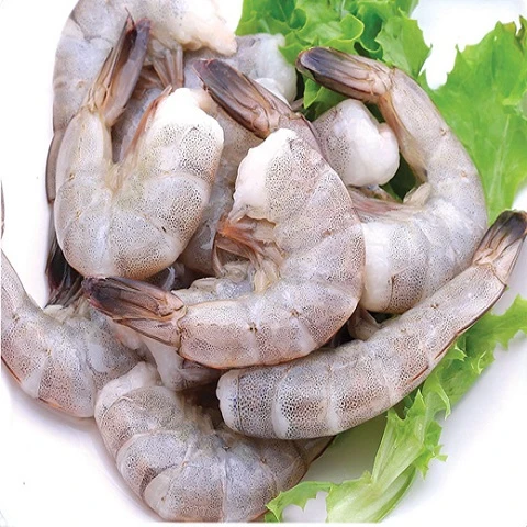 HLSO Vannamei Shrimp