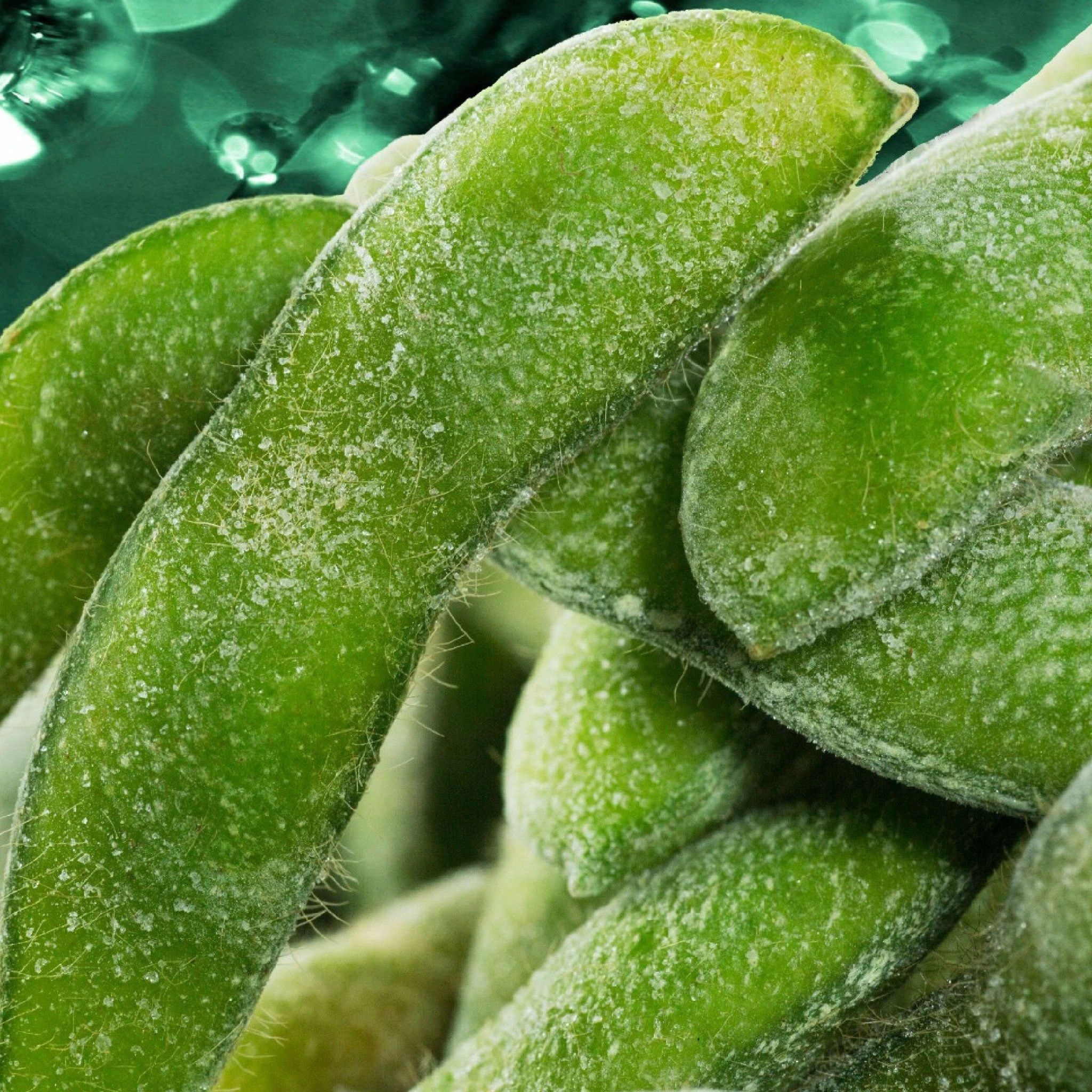 Frozen Green Soybean Pods