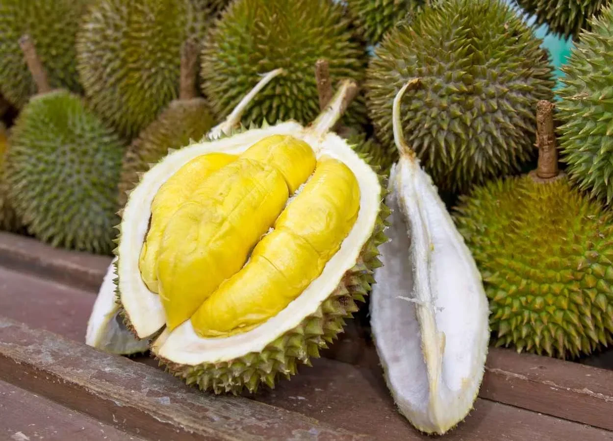 The Durian Boom: Vietnam’s Rise in Durian Cultivation and Export