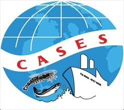 Cases Logo