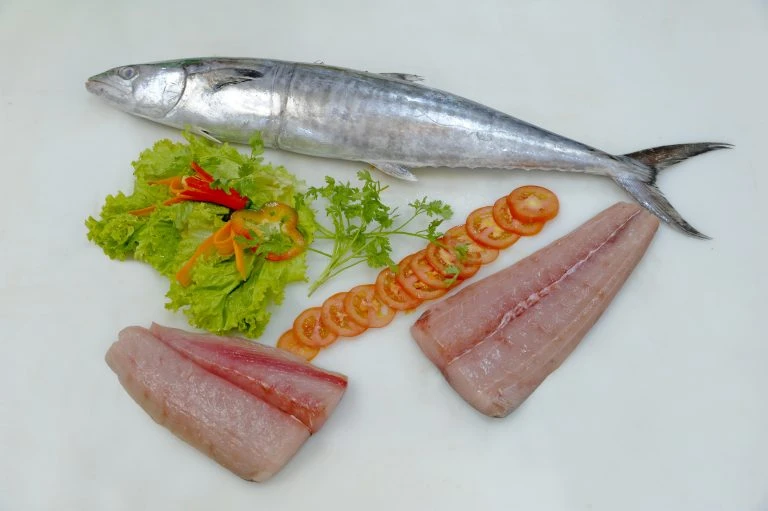 Frozen Mackerel Fillet