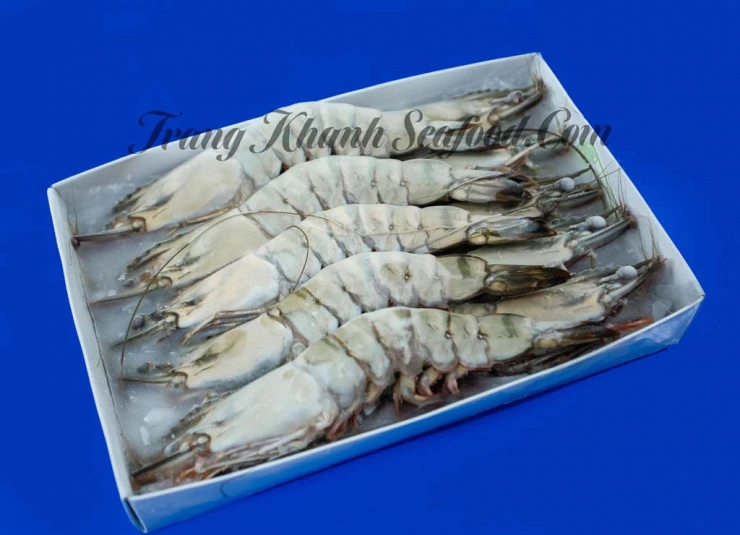 Frozen Raw HOSO Black Tiger Shrimp