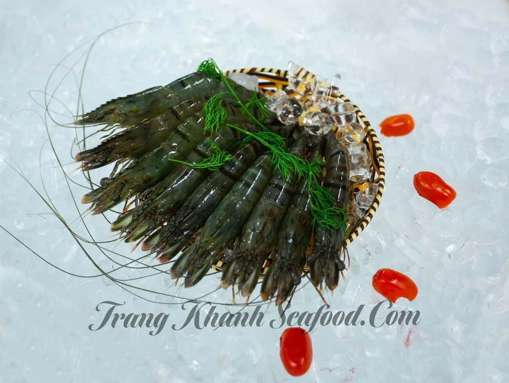 Frozen Raw HOSO Black Tiger Shrimp