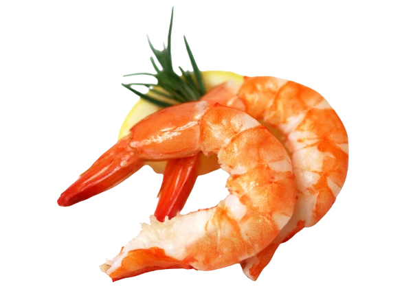 Cooked Shrimp