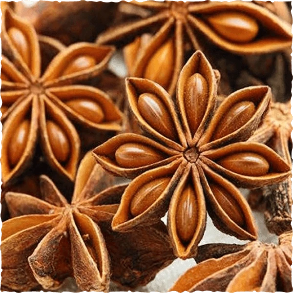 Star Anise