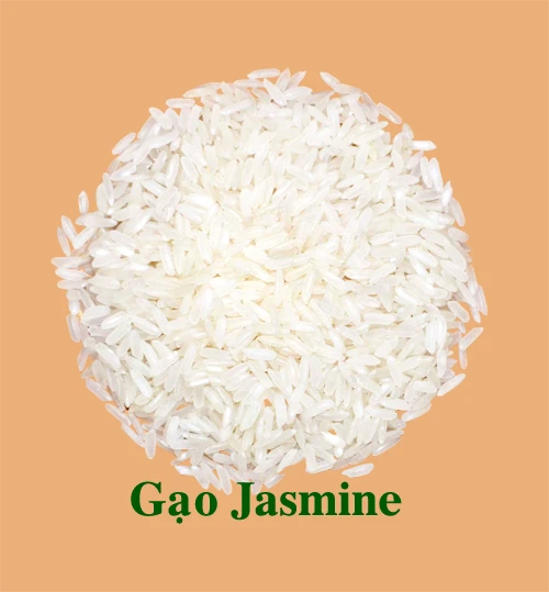 Jasmine Rice