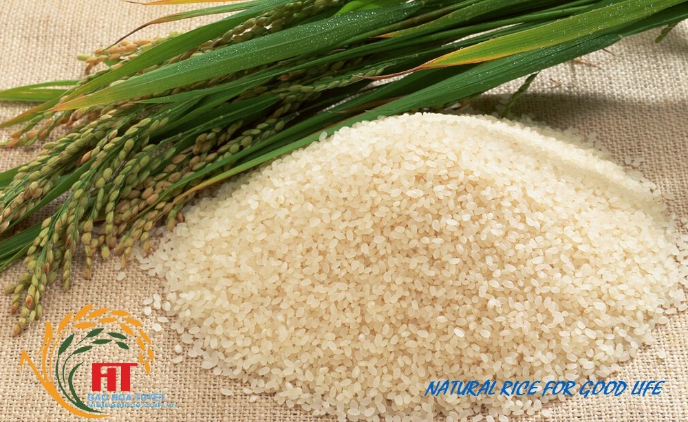Hoa Tuyet Rice
