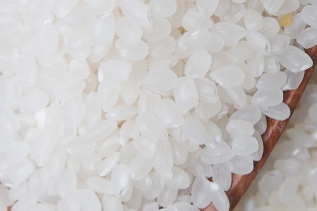 Vietnam Japonica Rice 5% Broken