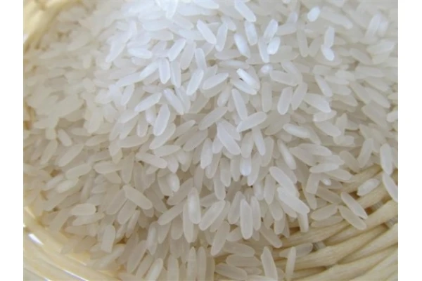 5451 Rice