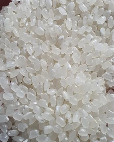 Japonica Rice