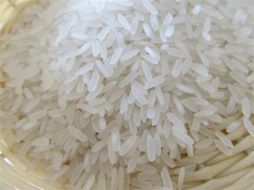 OM5451 Rice