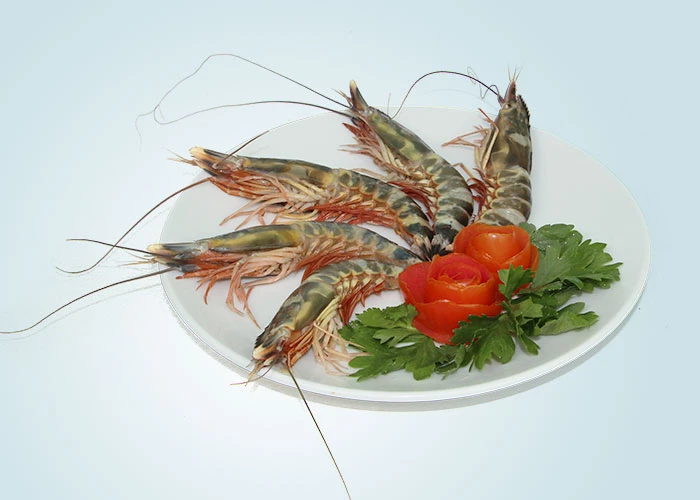 HOSO Black Tiger Shrimp
