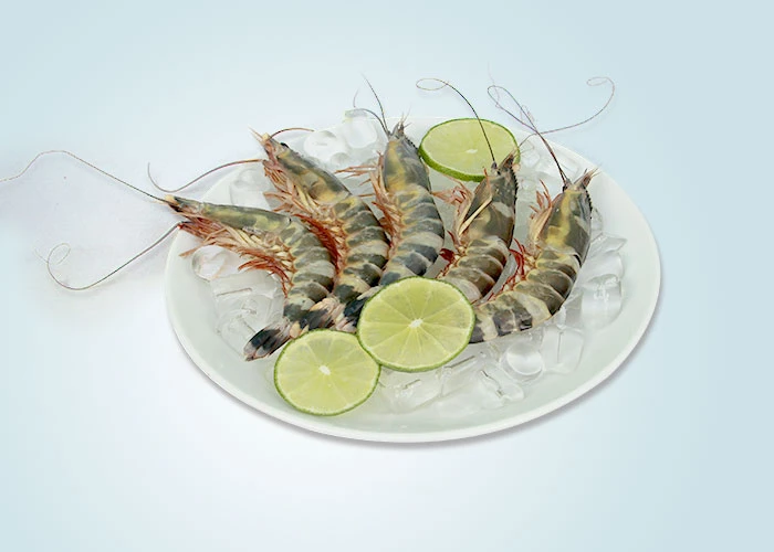 HOSO Black Tiger Shrimp