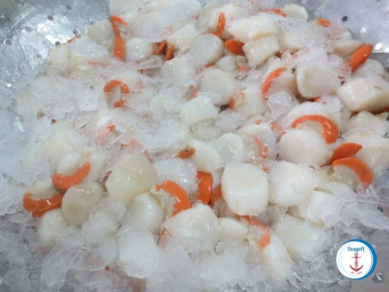 Scallop Meat