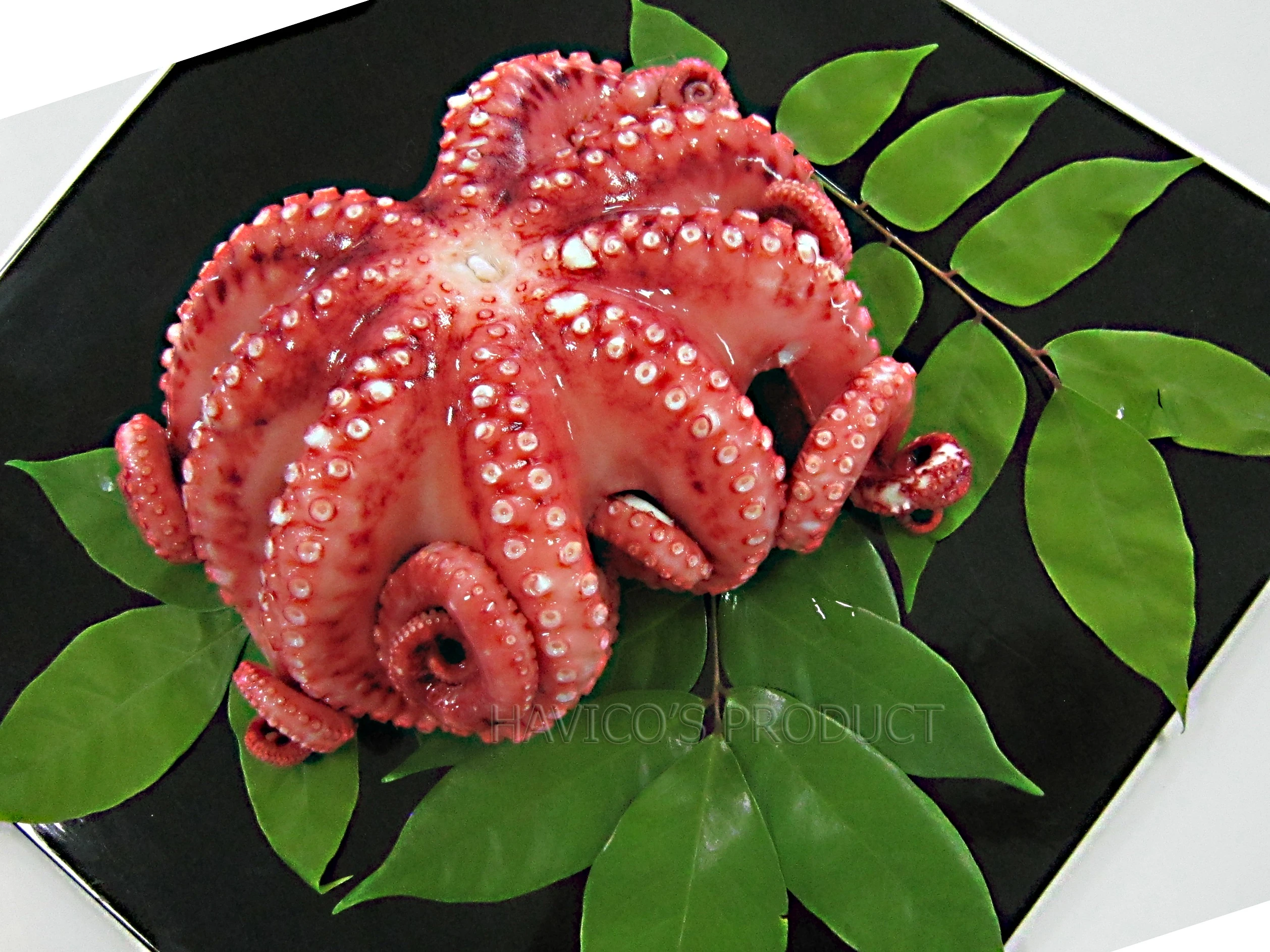 Boiled Octopus IQF