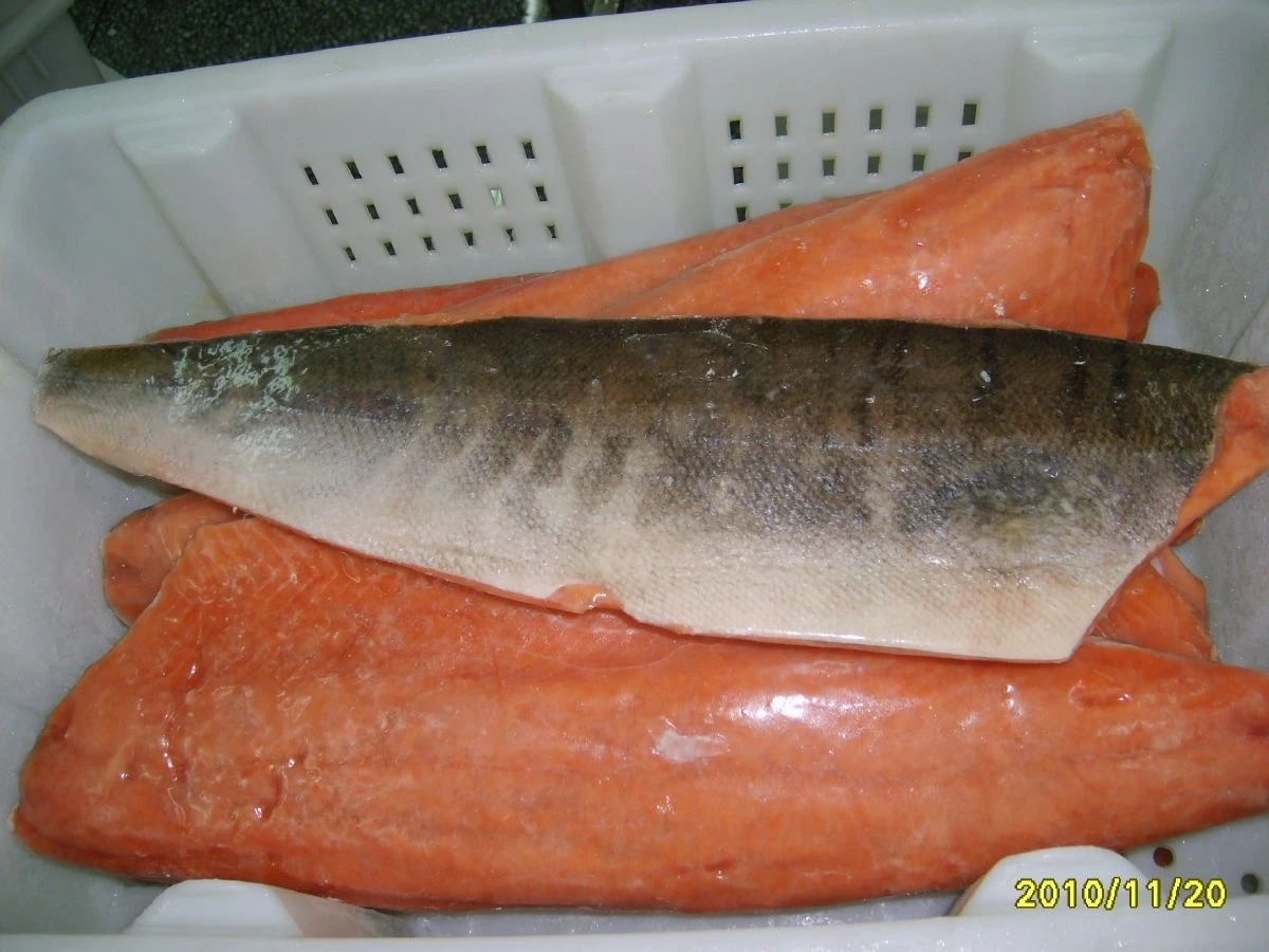 Frozen Chum Salmon