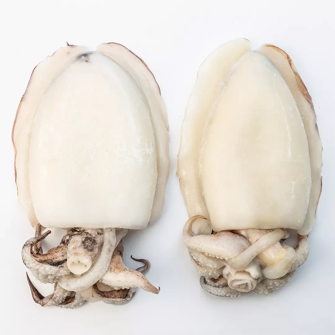 Cuttle Fish Whole Cleaned