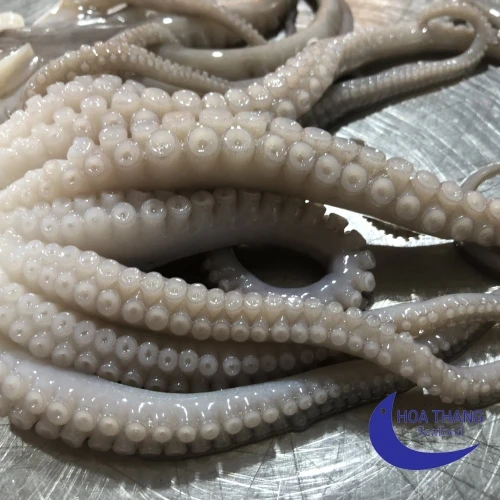 Frozen Cut Poulp Squid