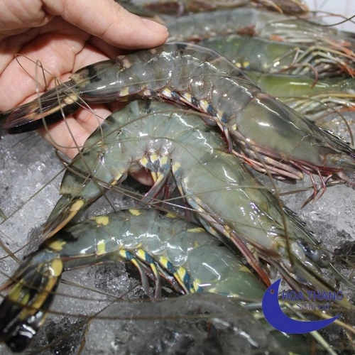 Frozen Black Tiger Shrimp