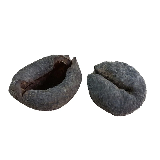 Dried Sea Cucumber