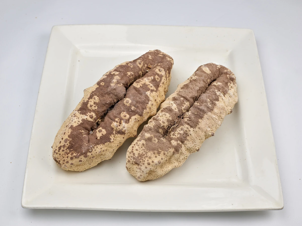 Dried White Teat Sea Cucumber